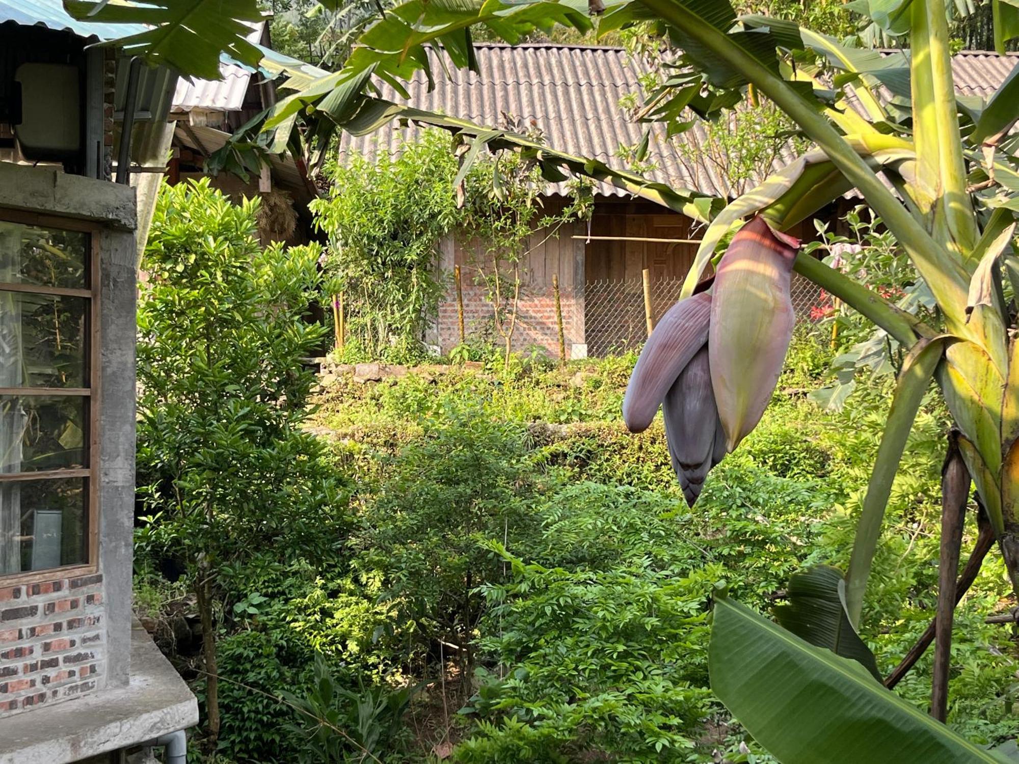 萨帕Ya'S House公寓 外观 照片